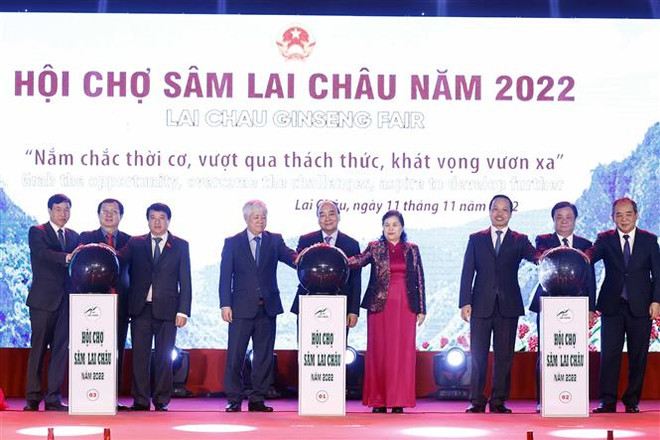 Chủ tịch nước Nguyễn Xuân Phúc: Nâng tầm giá trị cây sâm Việt Nam ảnh 1