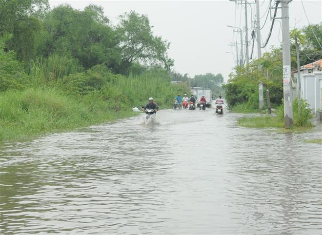 Thành phố Hồ Chí Minh: Triều cường lên cao gây ngập nhiều tuyến đường ảnh 1