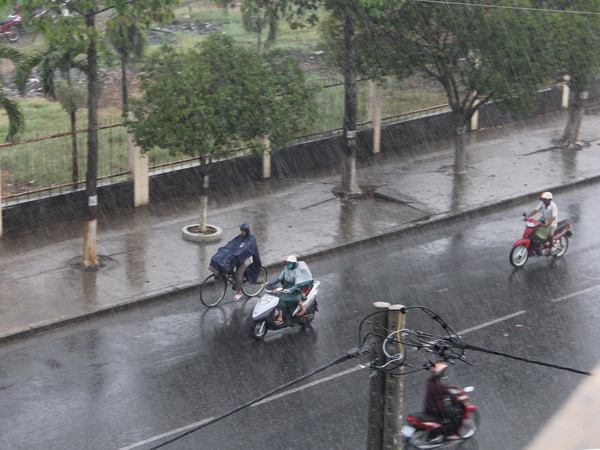 "Mưa vàng" xuất hiện cứu sống cây trồng tại Đồng Nai, Đắk Lắk ảnh 1