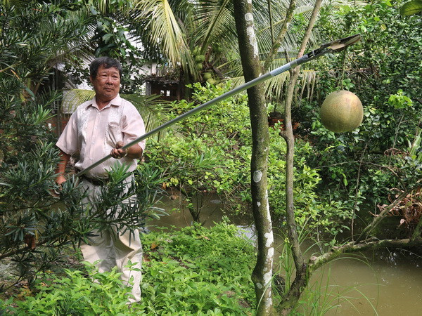 Nhà sáng chế miệt vườn và cây kéo cắt tỉa cành cây đa năng ảnh 1