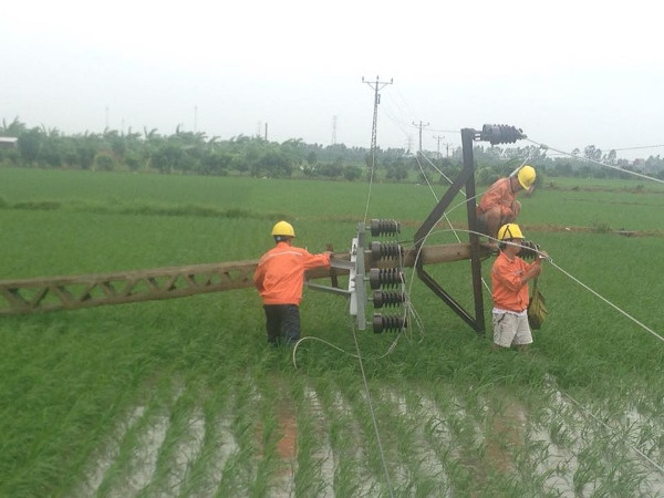 Hưng Yên khắc phục nhanh các sự cố lưới điện bị hỏng do sét đánh ảnh 1