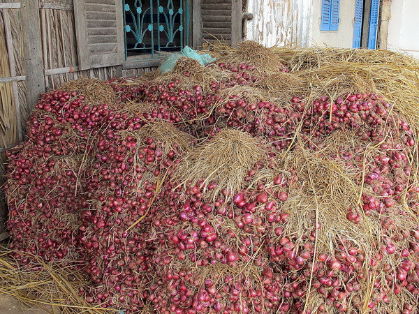 Thông tin người dân bị mù do hóa chất bảo quản hành tím là sai ảnh 1