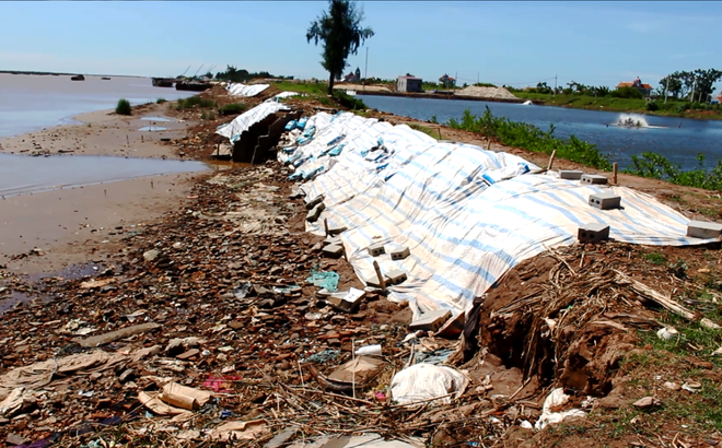 “Tàu ma” tưng bừng đục khoét lòng sông trước cửa biển Ba Lạt ảnh 3