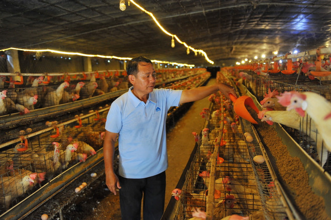 Chiến lược phát triển chăn nuôi giai đoạn 2021-2030, tầm nhìn 2045 ảnh 1