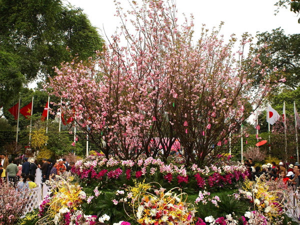 Thắt chặt quan hệ Đối tác chiến lược sâu rộng Việt Nam-Nhật Bản ảnh 1