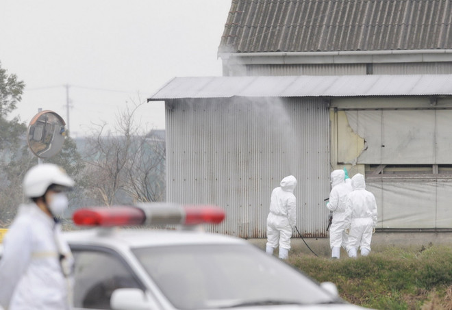 Trung-Nhật-Hàn tìm giải pháp phát triển nông nghiệp bền vững ảnh 1