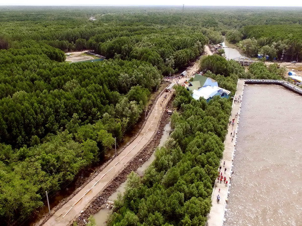 Đưa Mũi Cà Mau trở thành khu du lịch trọng điểm lớn nhất tỉnh ảnh 1