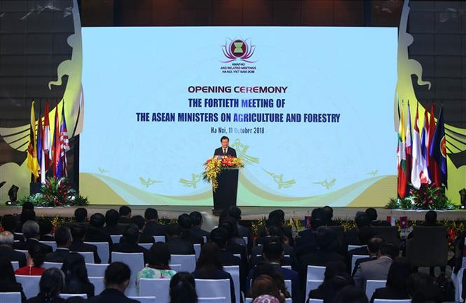 Tận dụng các cơ hội mới, thúc đẩy nền nông lâm nghiệp của ASEAN ảnh 1