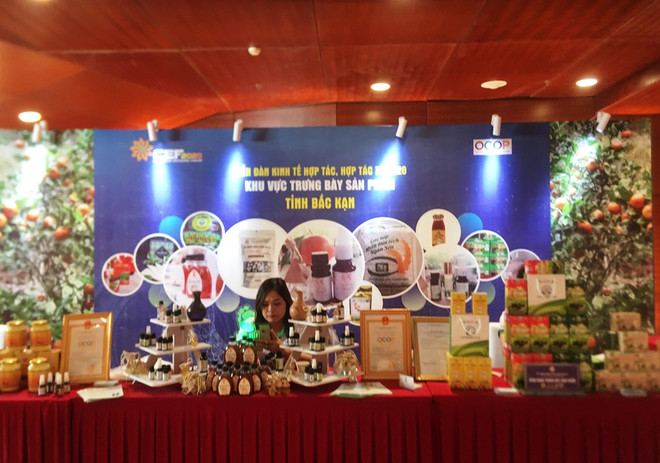 ‘Xác định rõ phát triển kinh tế tập thể là xu thế tất yếu’ ảnh 1