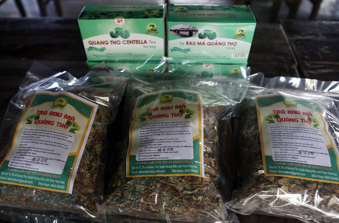 Người dân xã Quảng Thọ biến rau má thành đặc sản địa phương ảnh 1