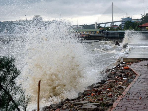 Xây dựng phương án ứng phó siêu bão theo một số kịch bản cụ thể ảnh 1
