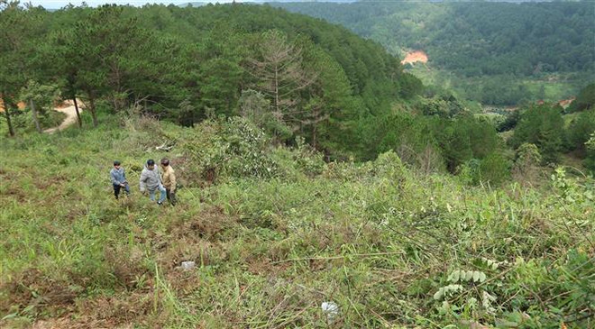 Đắk Nông: Phạt tù nguyên Phó Chủ tịch UBND huyện Tuy Đức ảnh 1