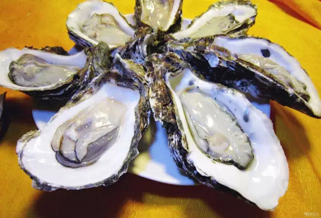 Cư dân mạng Trung Quốc hiến kế cho Đan Mạch giải quyết "thảm họa" hàu ảnh 2