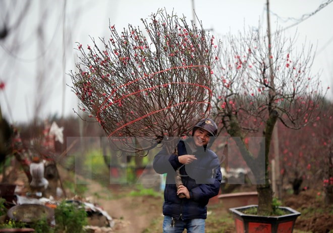 Sự kiện trong nước 25/9-1/10: Đề nghị kỷ luật ông Nguyễn Xuân Anh ảnh 10