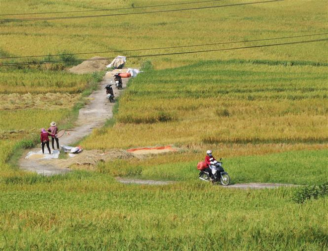 Lai Châu xóa đói giảm nghèo ở vùng “lõi” biên giới Mường Tè ảnh 3