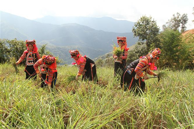 Lai Châu xóa đói giảm nghèo ở vùng “lõi” biên giới Mường Tè ảnh 2