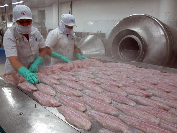 Nhờ cá tra, Việt Nam đứng đầu về xuất khẩu cá phile sang Brazil ảnh 1