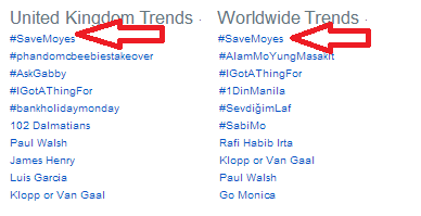 Mạng xã hội tràn ngập ảnh chế về tin M.U sa thải David Moyes ảnh 1