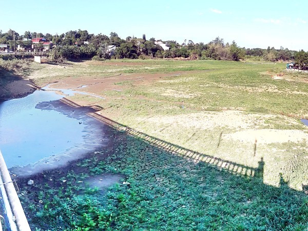 Làm rõ nguyên nhân gây ngộ độc trong 3 gia đình ở Bắc Kạn ảnh 1