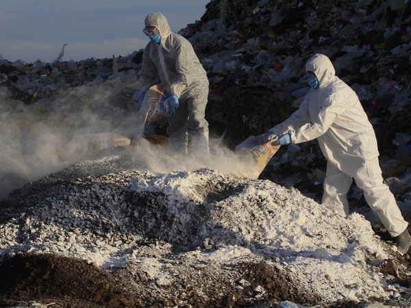 Canada xác nhận chủng virus cúm gia cầm lần đầu xuất hiện tại Bắc Mỹ ảnh 1