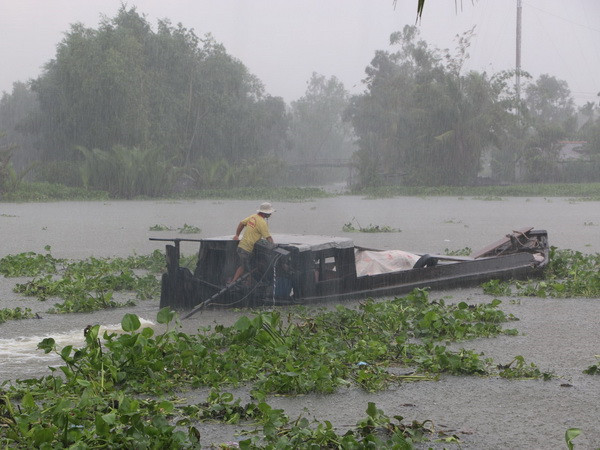 Từ chiều 4/5, mưa dông diện rộng ở khắp Tây Nguyên, Nam Bộ ảnh 1