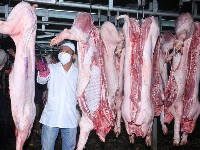 Xử lý nghiêm cơ sở giết mổ bơm nước và dùng búa đập chết gia súc ảnh 1