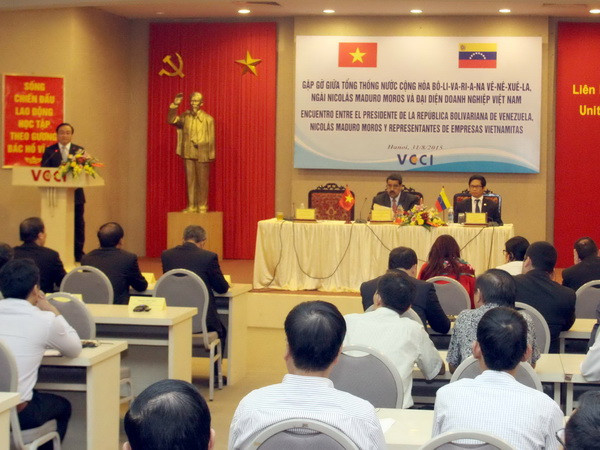 Việt Nam-Venezuela hướng tới xây dựng liên minh về năng lượng ảnh 1