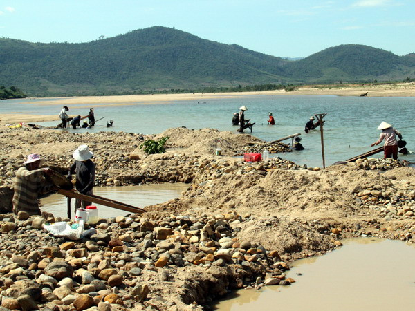 Hà Nội sẽ xử lý nghiêm cơ sở sơ chế vàng trái phép ảnh 1