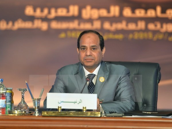 Ai Cập ấn định thời điểm tổ chức bầu cử quốc hội vào tháng 10 ảnh 1