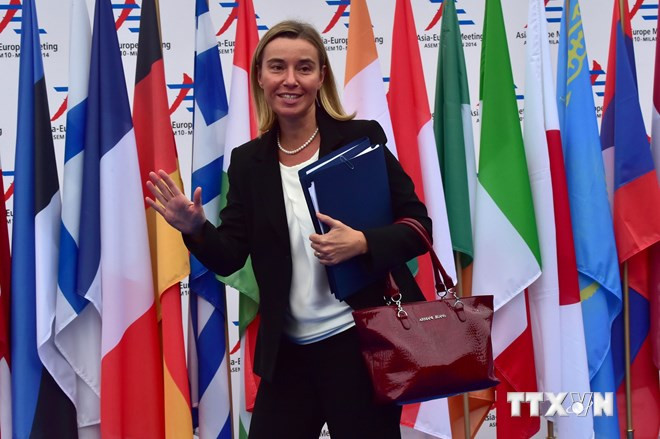 Tân đại diện cấp cao EU muốn thúc đẩy hòa đàm Palestine-Israel ảnh 1