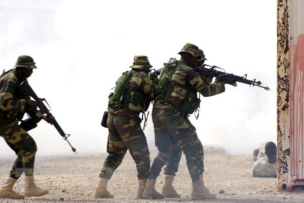 Binh sỹ các nước Đông Phi, Mỹ và EU tập trận chung ở Rwanda ảnh 1