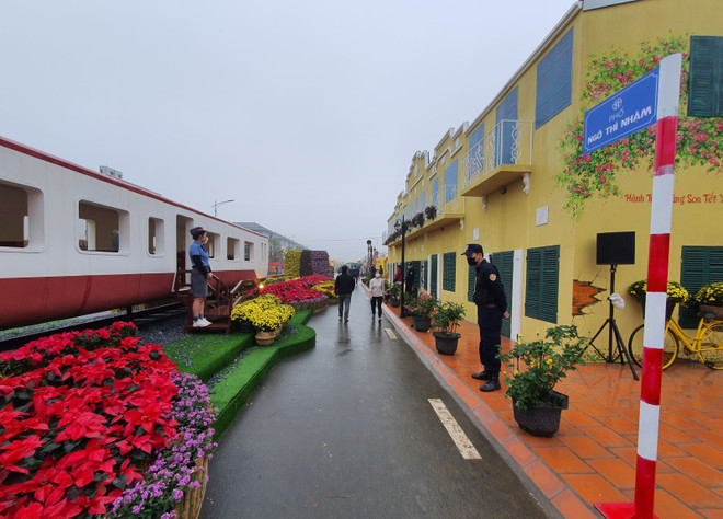 Khai mạc đường hoa Xuân Hà Nội chào đón Tết nguyên đán ảnh 2