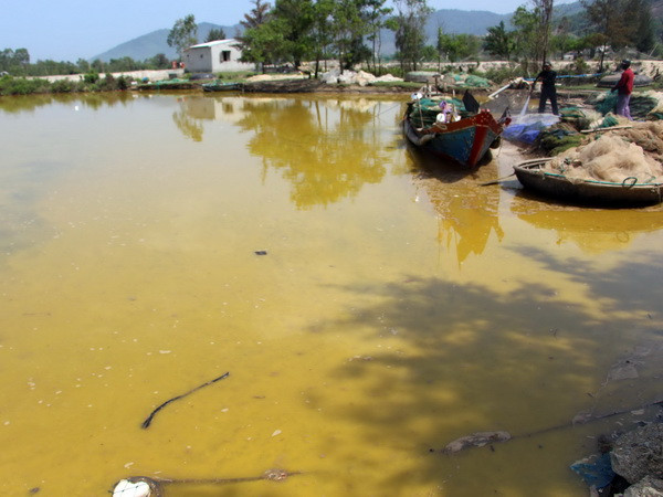 Công bố nguyên nhân hiện tượng nước biển màu vàng tại Lăng Cô ảnh 1