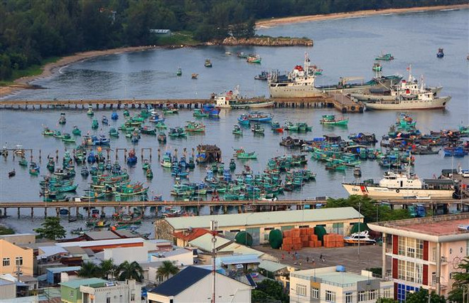 Tàu thuyền neo đậu tại cảng An Thới, huyện đảo Phú Quốc (Kiên Giang). (Ảnh: Ngọc Hà/TTXVN) Những hệ lụy phát sinh từ việc phát triển 'nóng' tại Phú Quốc ảnh 1