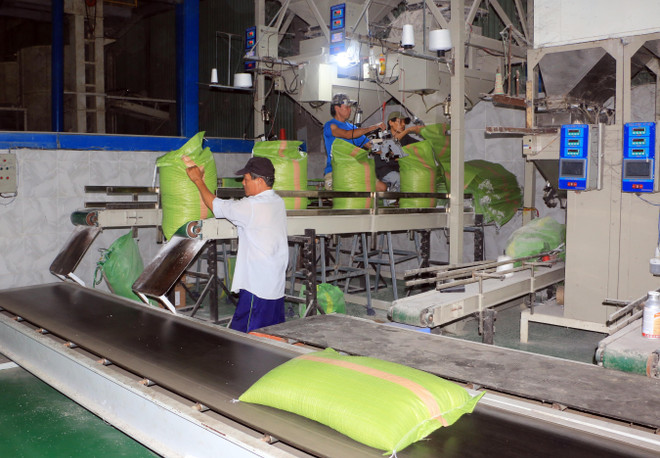 Chế biến gạo tại Công ty TNHH Sản xuất - Thương mại Phước Thành IV (huyện Long Hồ). (Ảnh: Phạm Minh Tuấn/TTXVN) Giá gạo tăng cao, doanh nghiệp vẫn lên kế hoạch lợi nhuận thận trọng ảnh 1