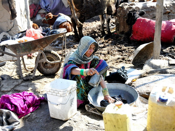 Việt Nam thăm hỏi các quốc gia chịu ảnh hưởng động đất ở Nam Á ảnh 1