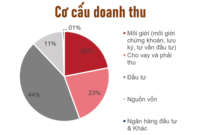SSI: Lợi nhuận trước thuế trong sáu tháng đầu năm đạt 3.200 tỷ đồng ảnh 1