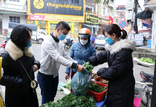 Lào Cai: Cây cải xoăn Kale cho hiệu quả kinh tế cao ở đất Bắc Hà ảnh 2