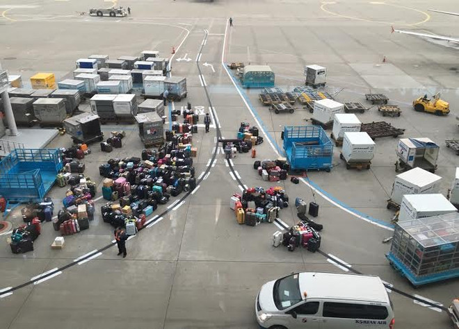 Lượng hành khách tại sân bay quốc tế Incheon tăng mức kỷ lục ảnh 2