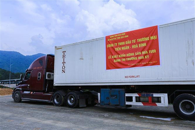 Hòa Bình xuất khẩu trên 17 tấn mía tươi sang thị trường Hoa Kỳ ảnh 1