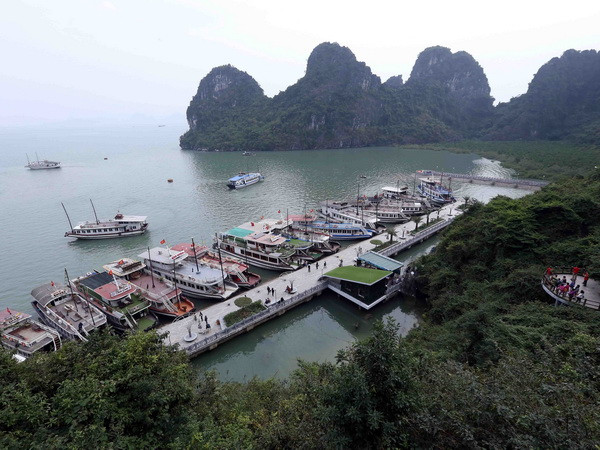 5 tỉnh, thành phố miền Trung đồng loạt ra quân bảo vệ môi trường biển ảnh 1