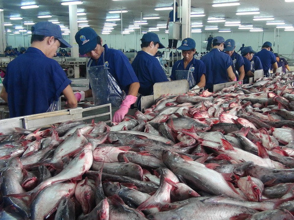 Doanh nghiệp thủy sản cần chủ động đáp ứng yêu cầu của EU ảnh 1