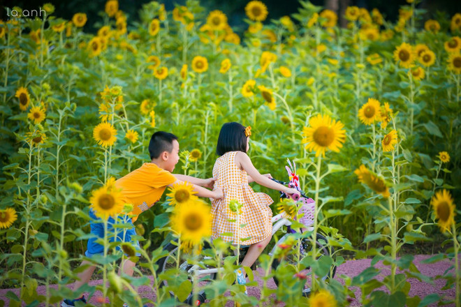 Ecopark - Nơi thiên nhiên hòa quyện vào cuộc sống của con người ảnh 9