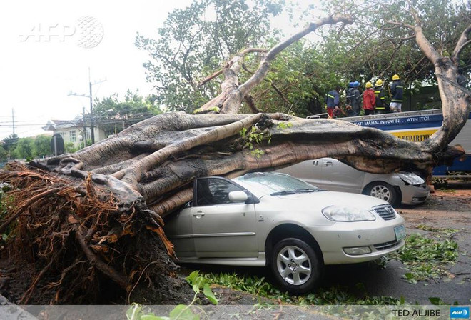 Bão Rammasun đã khiến 11 người tử vong ở Philippines ảnh 1