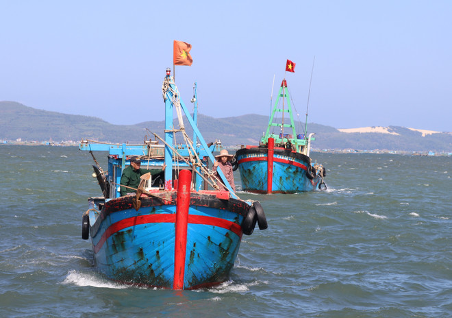 Bến Tre: Kiên quyết xử lý tàu cá vi phạm vùng biển nước ngoài ảnh 1