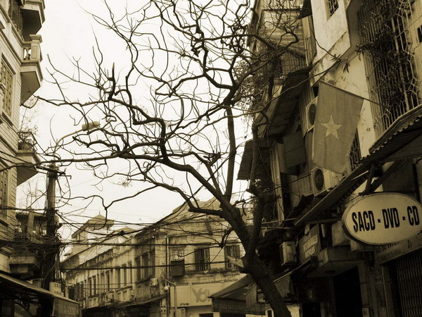 Khai trương 6 tuyến phố đi bộ mở rộng tại khu phố cổ Hà Nội ảnh 1