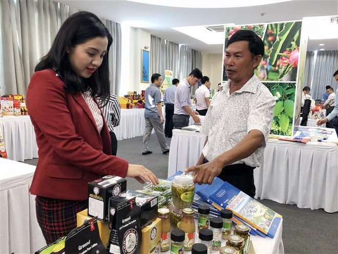 Hàng Việt Nam chất lượng cao đã tạo được niềm tin từ người tiêu dùng ảnh 1