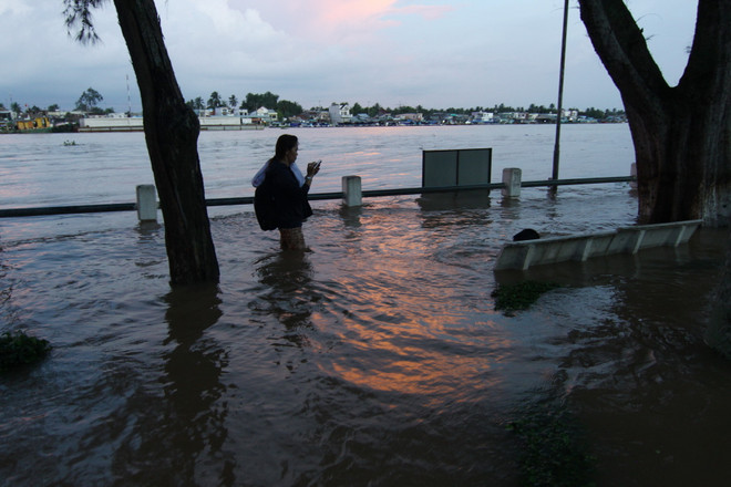Cần Thơ: Nhiều khu nội đô ngập nặng chỉ sau một trận mưa nhỏ ảnh 1