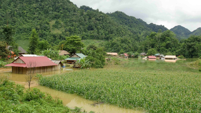 Sơn La: Nước lũ nhấn chìm những ngôi nhà ở bản Phiêng Luông ảnh 1
