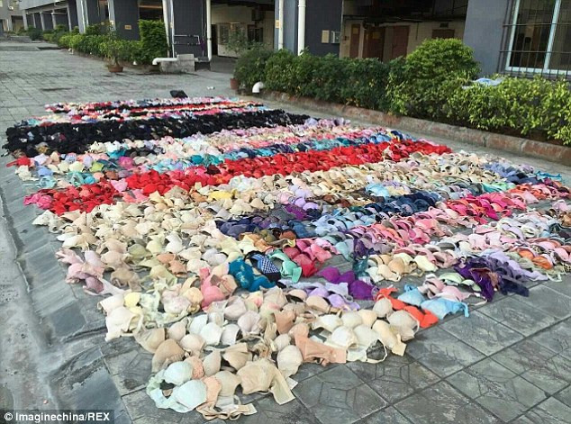 Trung Quốc: Trộm đồ lót bị bắt vì tang vật làm sập trần nhà ảnh 3